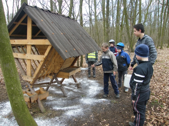 Poštolky čistily krmelec