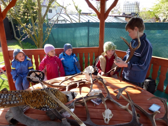 Poštolky se připravují na soutěž o Zlatou srnčí trofej.