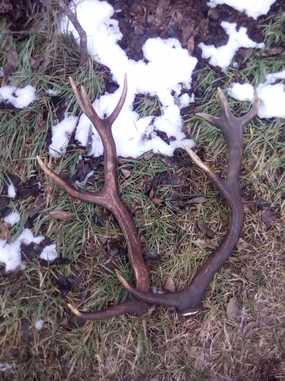 Zhody z minulého roka