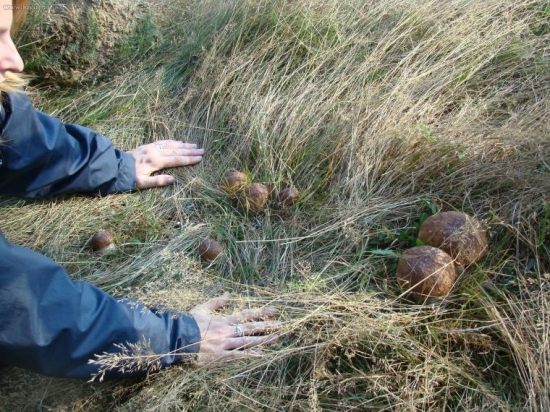 na ceste este ze nie je asfaltka