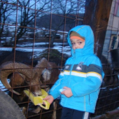 syncek a hladny mufi