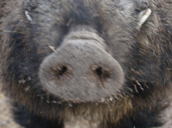 nebol som zo zubami na prehliadke čo mam robit