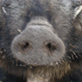 nebol som zo zubami na prehliadke čo mam robit