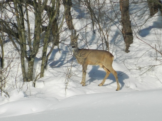 len tak pre potešenie
