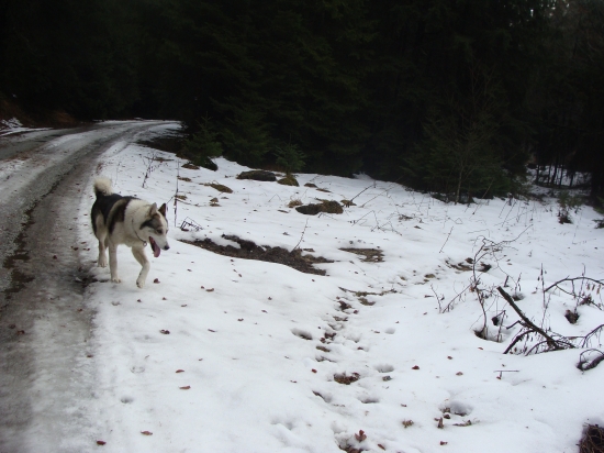 tréning vytrvalosti  hore - dole dolinou 20 km