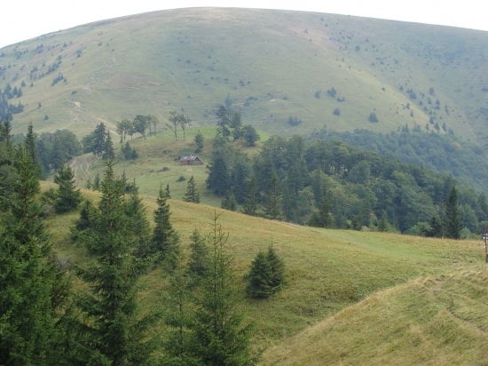 Ploská Veľká Fatra