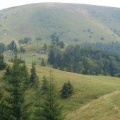 Ploská Veľká Fatra