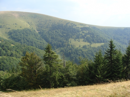 Ploská z Borišova Veľká Fatra