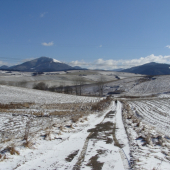 Náš revír pohľad od poľa k horám