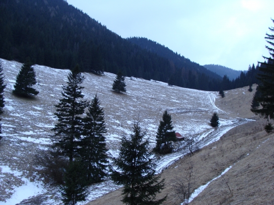 Horská poľana Marušová Jánska dolina Nízke Tatry