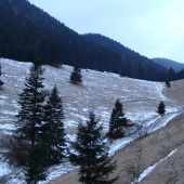 Horská poľana Marušová Jánska dolina Nízke Tatry
