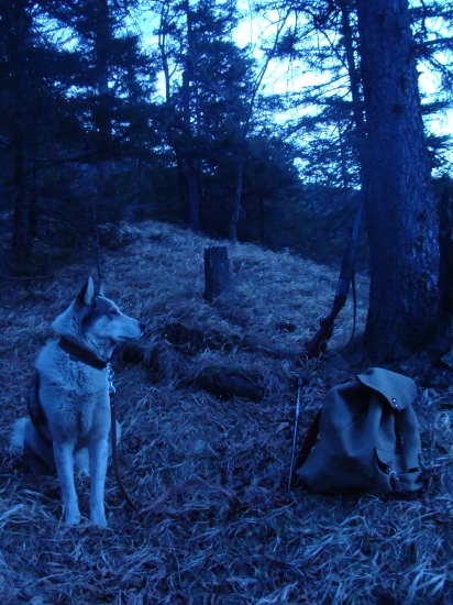 Chvíľa oddychu na svitaní