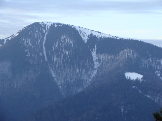 Lavínové žľaby Borišova  a horská lúka Košariská Belianska dolina Veľká Fatra