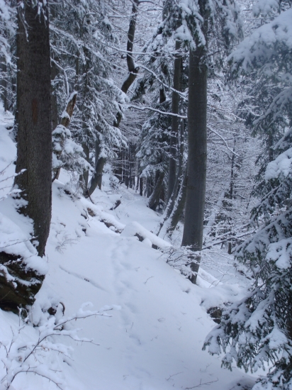 Chodníček môj kamarát v ťažkom teréne