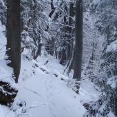 Chodníček môj kamarát v ťažkom teréne