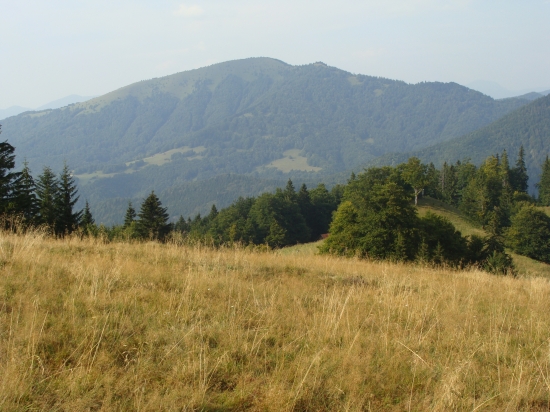 Lysec z Košarísk Belianska dolina Veľká Fatra