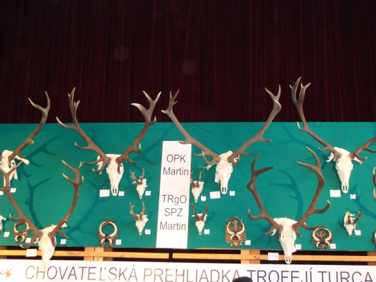 Chovateľská prehliadka Rgo Turiec