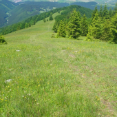 Pohľad z Lysca 1381 m n.m.v.