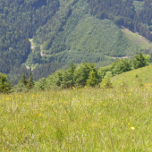 Pohľad zhora do doliny