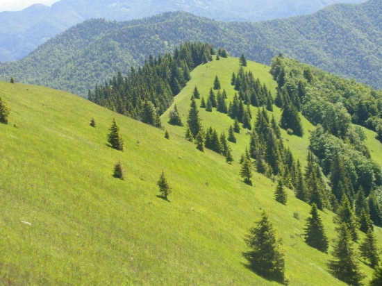 Hole Lysca Belianska dolina Veľká Fatra