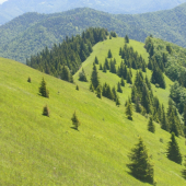 Hole Lysca Belianska dolina Veľká Fatra