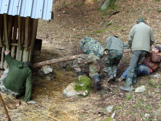 jarné upratovanie krmelcov