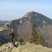 na Šoproni