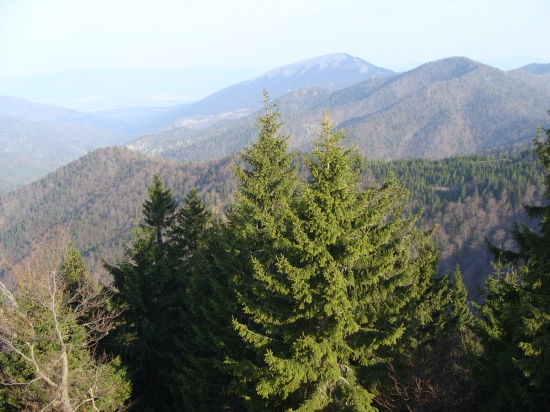 Naše grúne a grúniky  Belianska dolina Veľká Fatra
