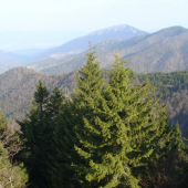 Naše grúne a grúniky  Belianska dolina Veľká Fatra