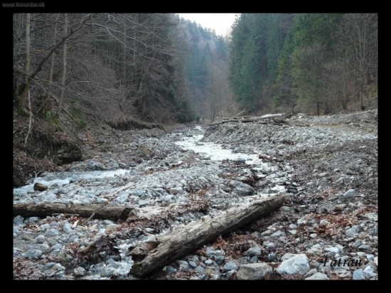 Divočina Veľkej Fatry