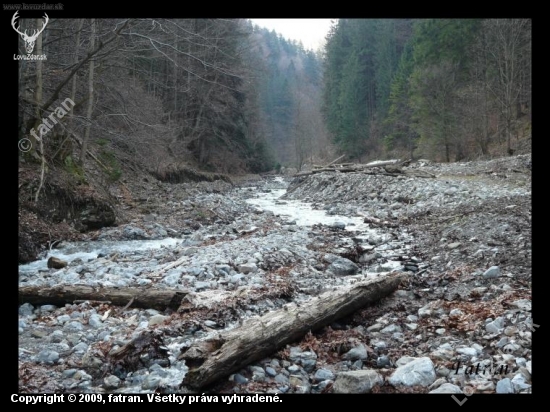 Divočina Veľkej Fatry