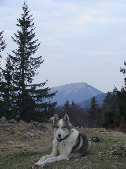 čakám kým gazda všetko pofotí