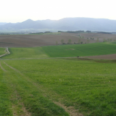 naša poľná časť revíru