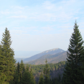 Pohľad z hraničného hrebeňa nášho revíru na Šoproni na hraničný hrebeň Lysca