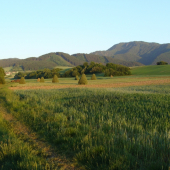 Večerná nálada na posede