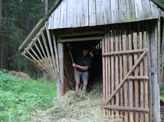 ukladáme sience  na zimu