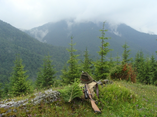 Zátišie bez kamélíí..............