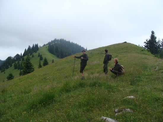 Roman zbadal tri jelene zapasené v úplaze Ploskej
