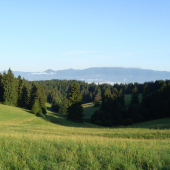 Letné ráno u nás v Turci