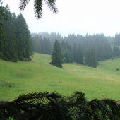 pohľad s posedíku na horskej lúke