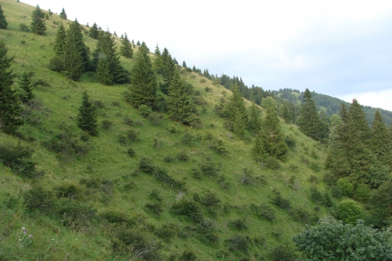 Večer v úplaze Lysca Belianska dolina Veľká Fatra