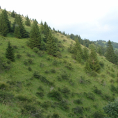 Večer v úplaze Lysca Belianska dolina Veľká Fatra