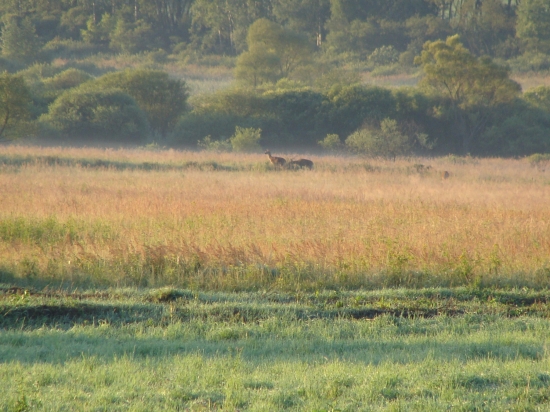 Serengeti Slovenský Raj