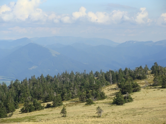 Martinské hole Veterné v pozadí Veľká Fatra