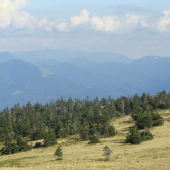 Martinské hole Veterné v pozadí Veľká Fatra