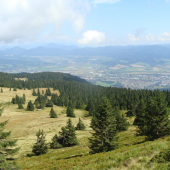 Dolný Turiec z Martinských holí