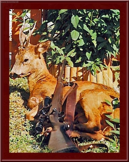 Môj srnček leto 2006 3 ročný 308 WIN 13 g VULKAN 100 metrov