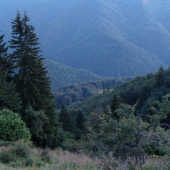 Noc začína preberať moc nad horami