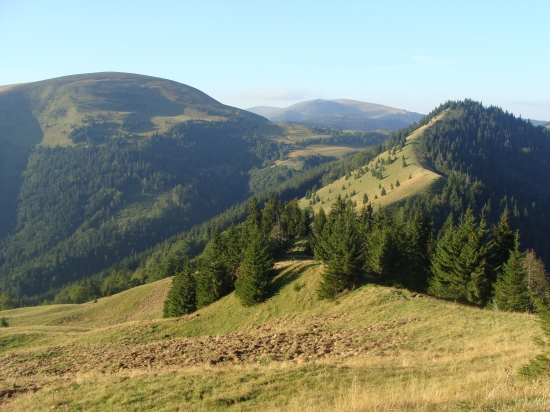 Hlboká orba od diviakov