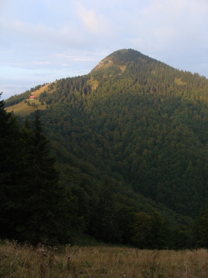 Na rujovisku